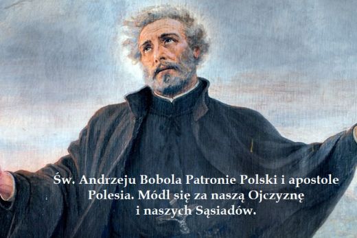 ogłoszenia
